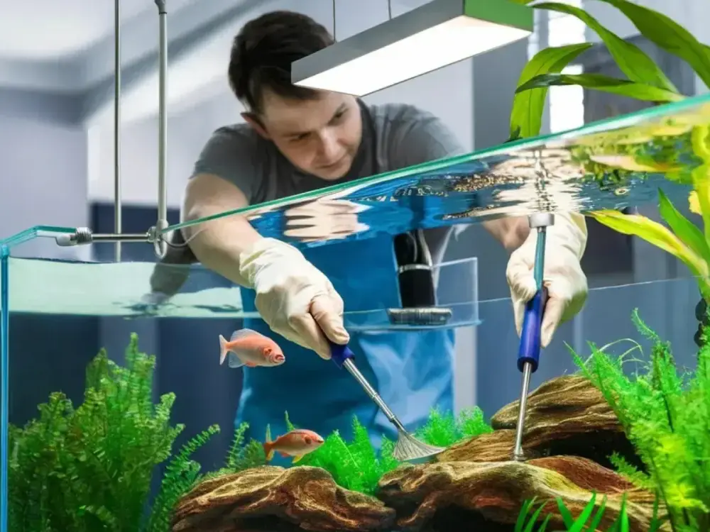 Restaurant / Hotel Cleaning